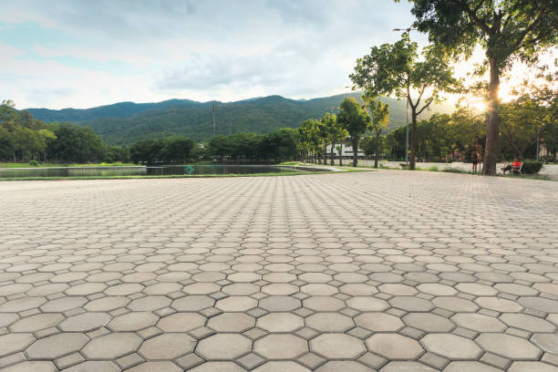 Best Decorative Driveway Paving in Kenedy, TX