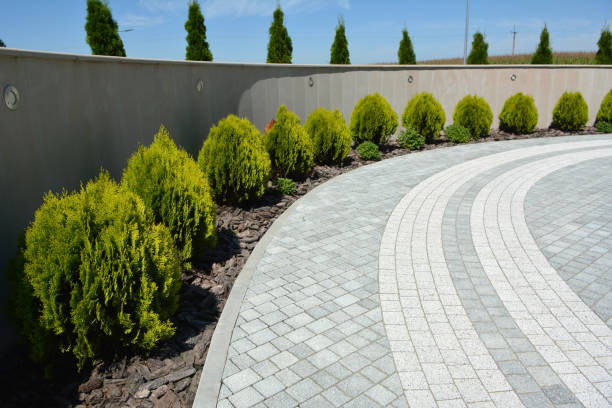 Best Driveway Borders and Edging Pavers in Kenedy, TX